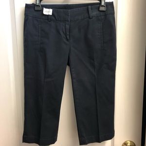 Ann Taylor Capris